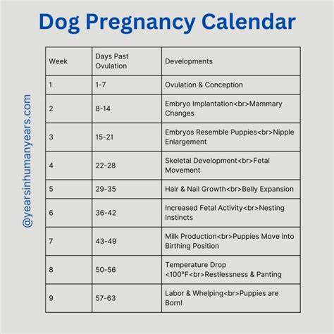 Dog Pregnancy Calendar