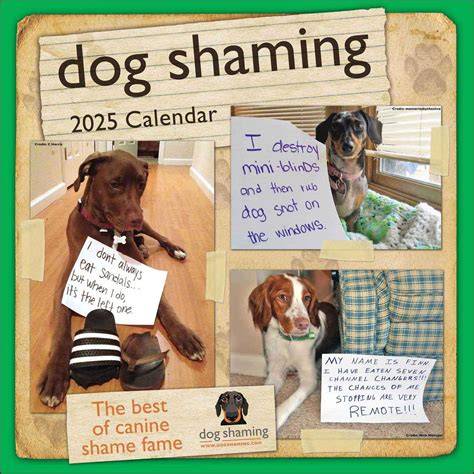 Dog Shaming Calendar