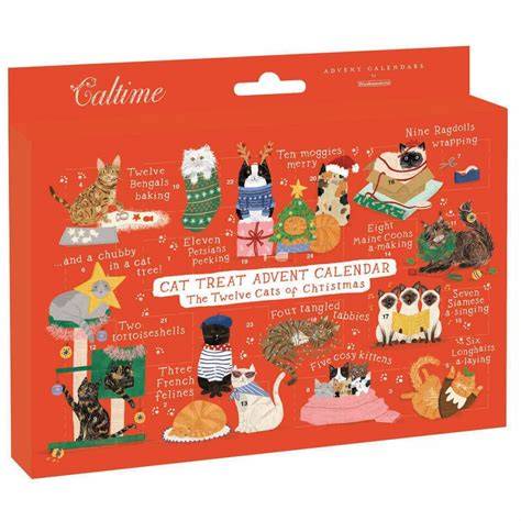 cat treat advent calendar