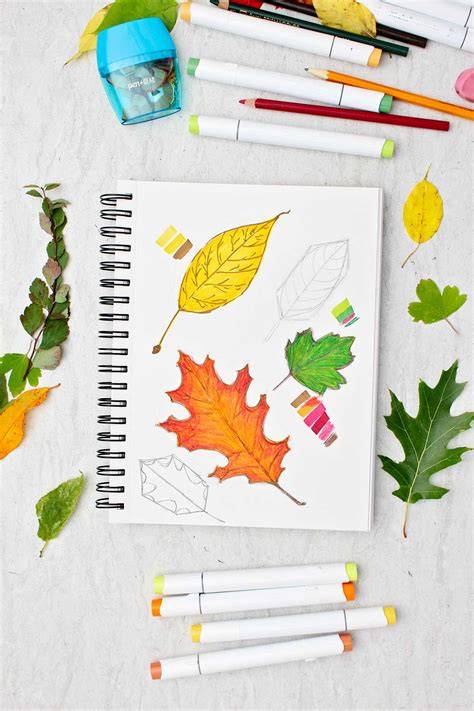 Drawing Colour Book