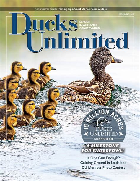 Ducks Unlimited Calendar Texas