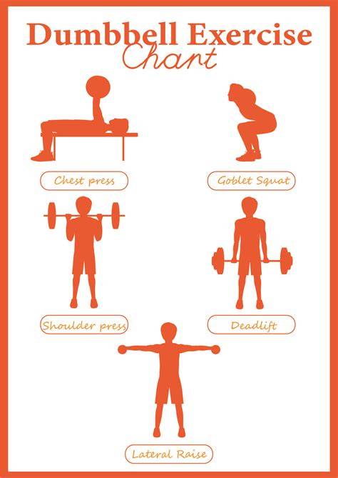 Dumbbell Workout Chart Printable Free