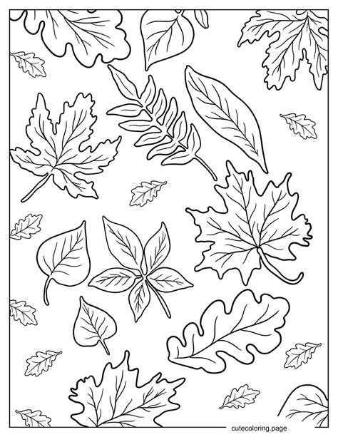 Fall Leaves Coloring Pages Printable