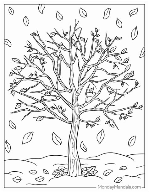 Fall Tree Coloring Pages