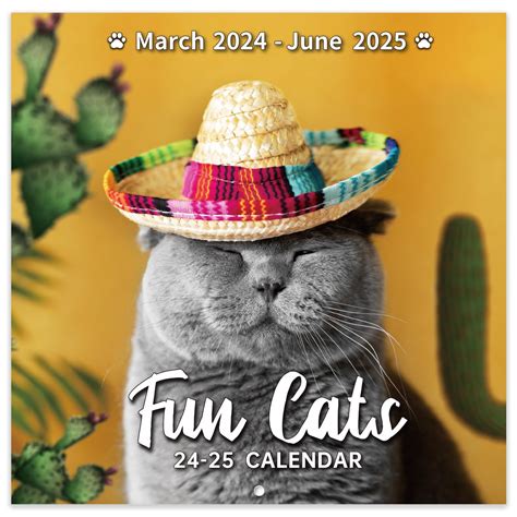 funny 2025 calendar