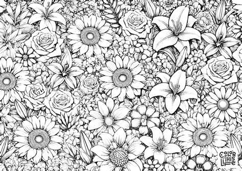 Flower Pictures To Color For Adults