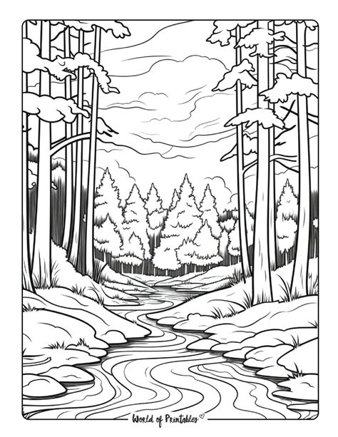 Forest Color Sheet