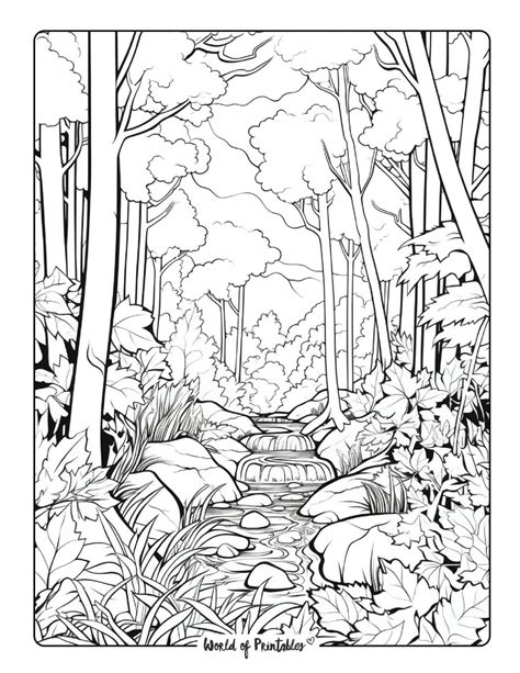 Forest Pictures To Color