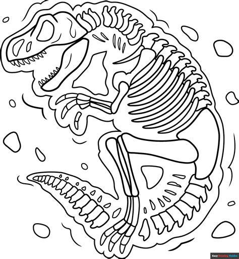 Fossil Colouring