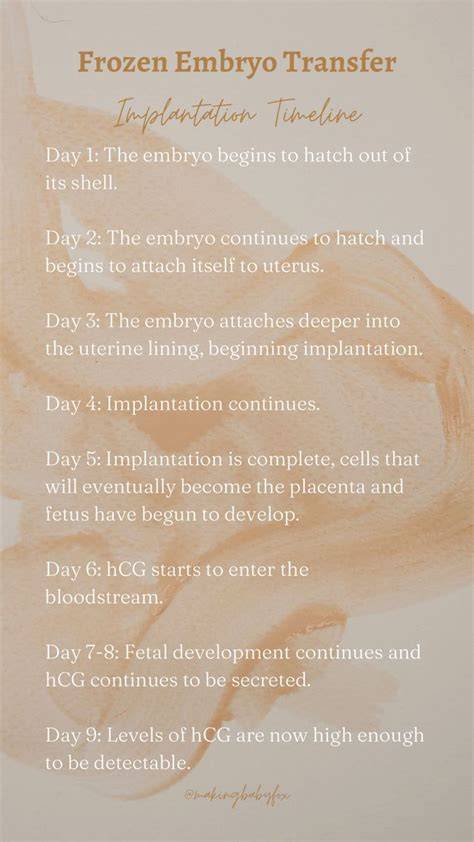 frozen embryo transfer calendar