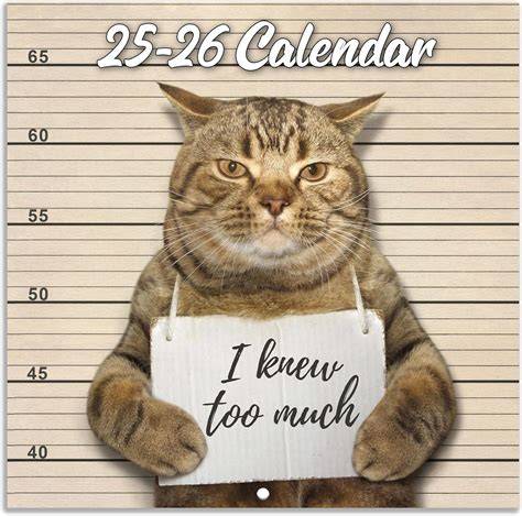 funny calendar 2025
