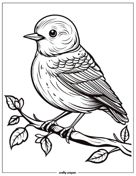 Free Bird Pictures To Color