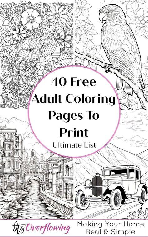 Free Coloring Pages Adults Printable