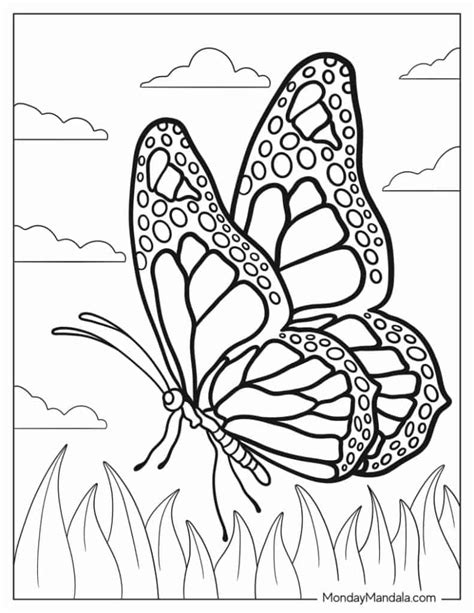 Free Coloring Pictures Of Butterflies