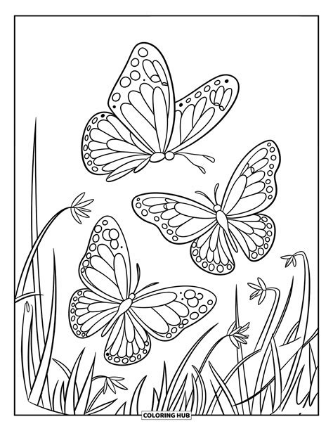 Free Printable Coloring Pages Butterfly