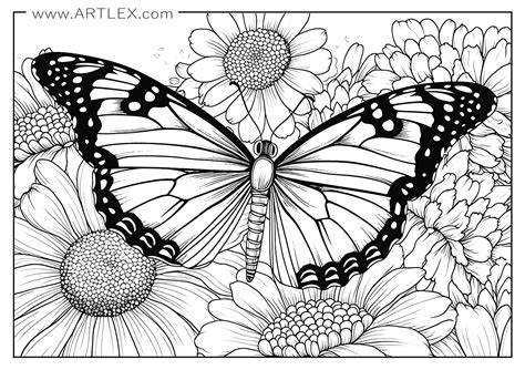Free Printable Coloring Pages Of Butterflies