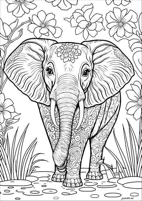 Free Printable Coloring Pages Of Elephants
