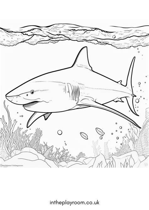 Free Printable Coloring Pages Sharks