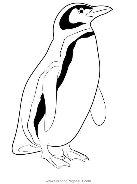 Free Printable Penguin Pictures