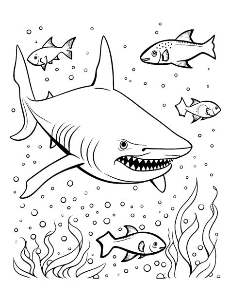 Free Printable Shark Coloring Pages