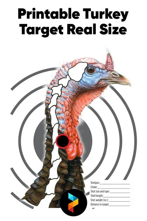 Free Printable Turkey Targets