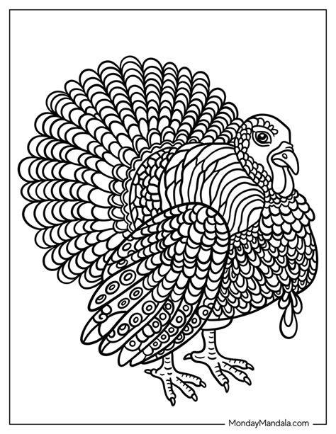 Free Turkey Coloring Pages