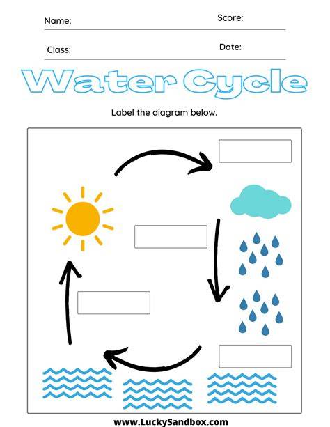 Free Water Cycle Printables