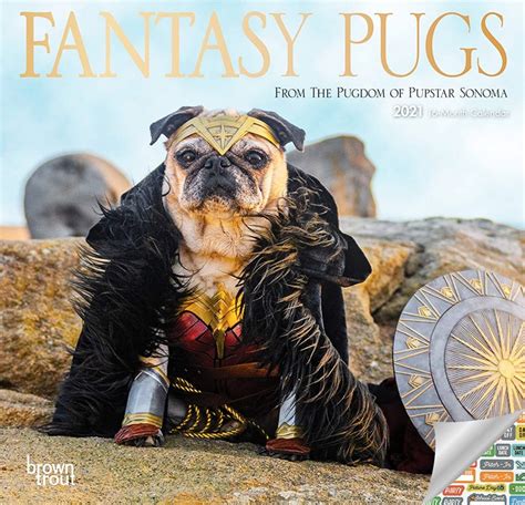 Funny Dog Calendar