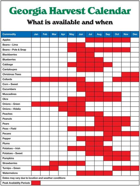Georgia Vegetable Planting Calendar