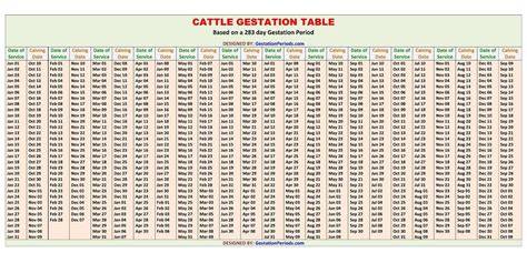 Gestation Calendar Cattle