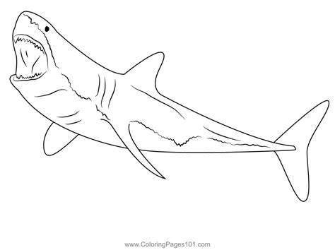 Great White Coloring Page