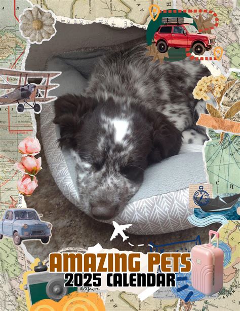 amazing pets calendar 2025