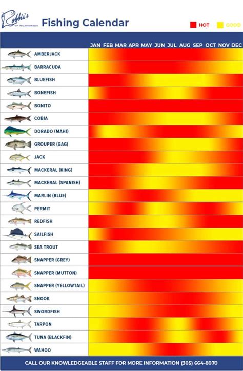 fishing calendar for today