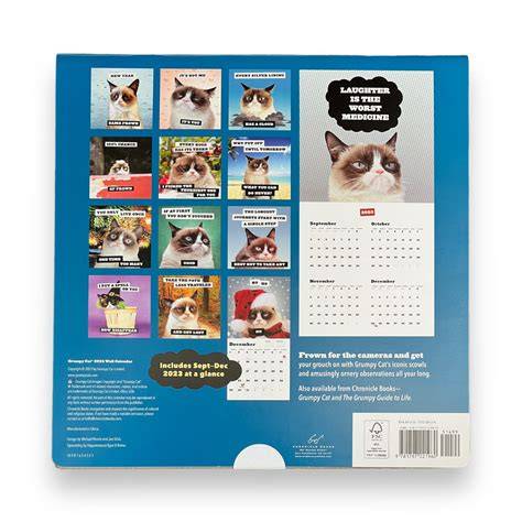 Grumpy Cat Calendar