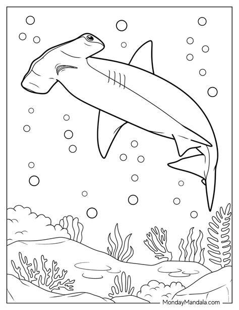 Hammerhead Shark Coloring Page
