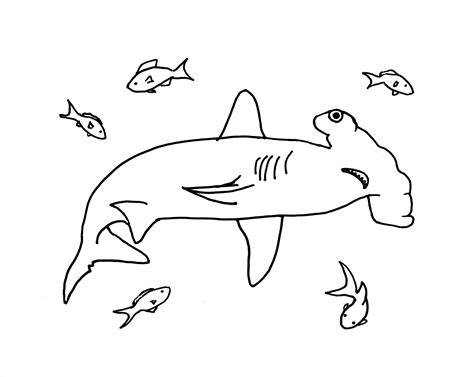 Hammerhead Shark Colouring Pages