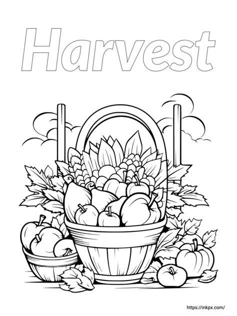 Harvest Coloring