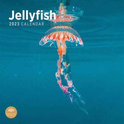 Hawaii Jellyfish Calendar 2024