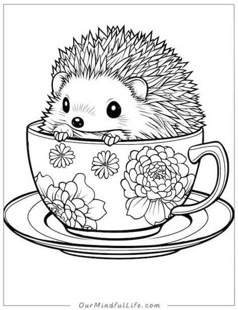 Hedgehog Color Pages
