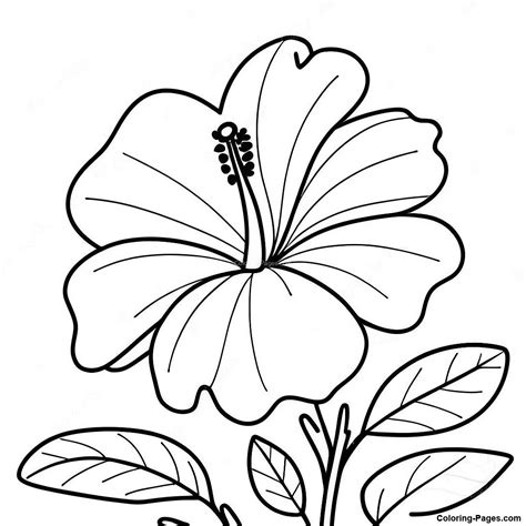 Hibiscus Flower Coloring Page