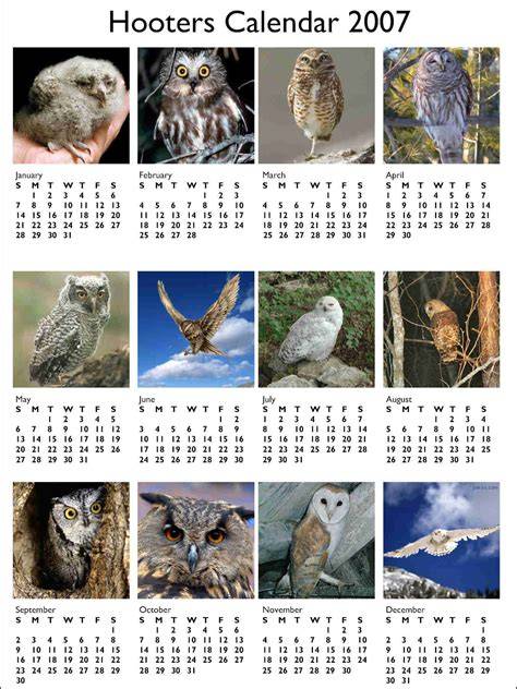 Hooters Calendar 2007