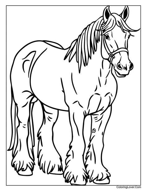 Horse Colouring Pages