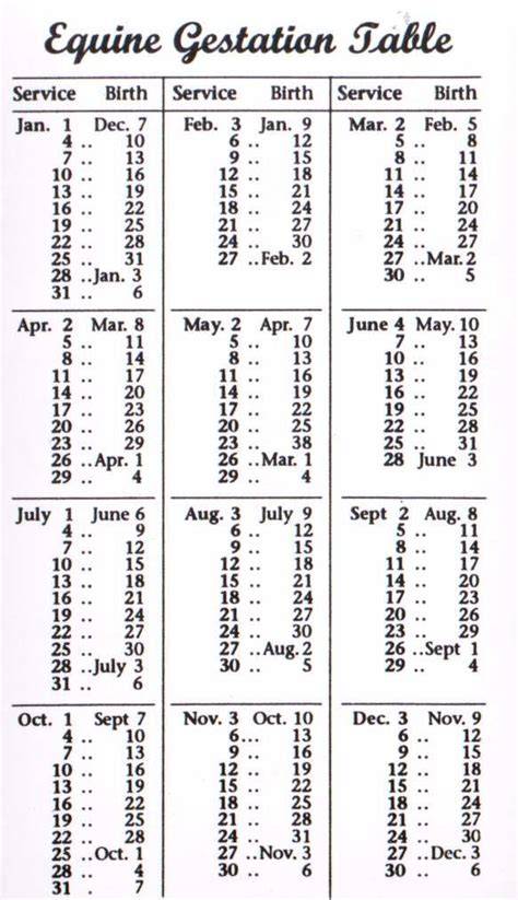 Horse Gestation Calendar