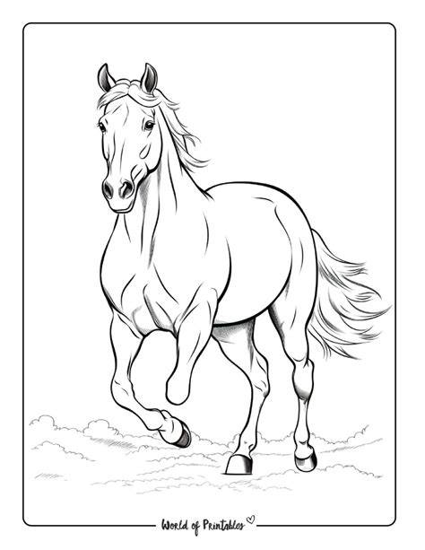 Horse Printable Colouring Pages