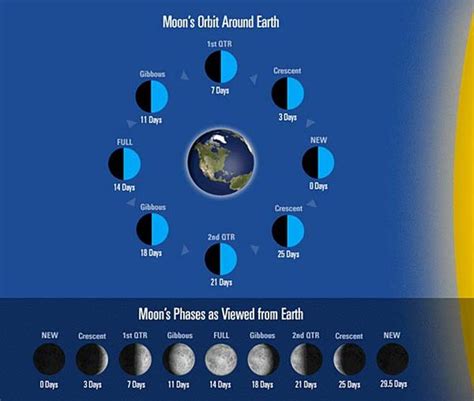 How Does The Lunar Calendar Work