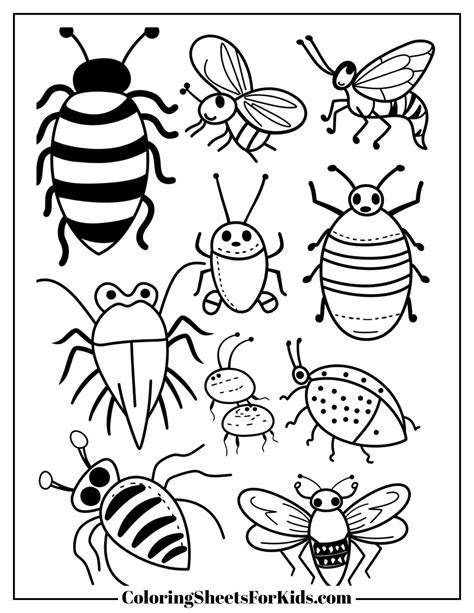 Insects Printable Pictures