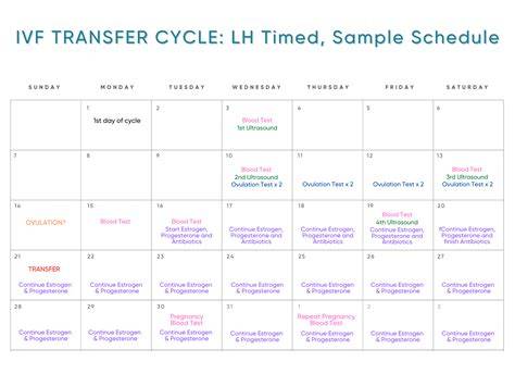 Ivf Transfer Due Date Calendar