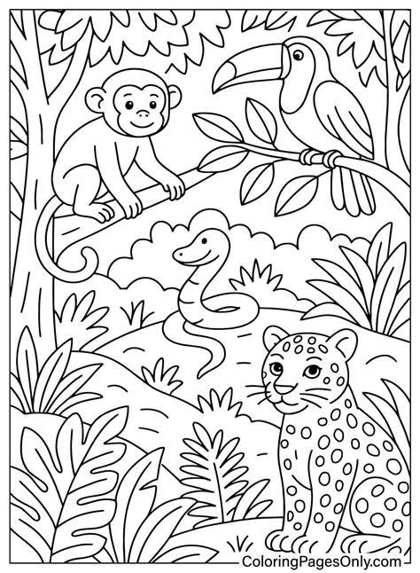 Jungle Pictures To Color