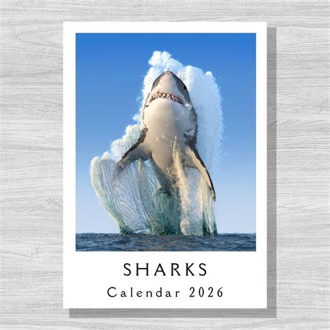 sj sharks calendar