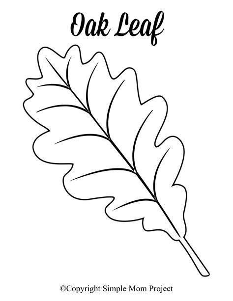 Leaf Template Printable Free